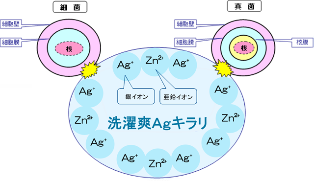 洗濯爽Agキラリの効果図